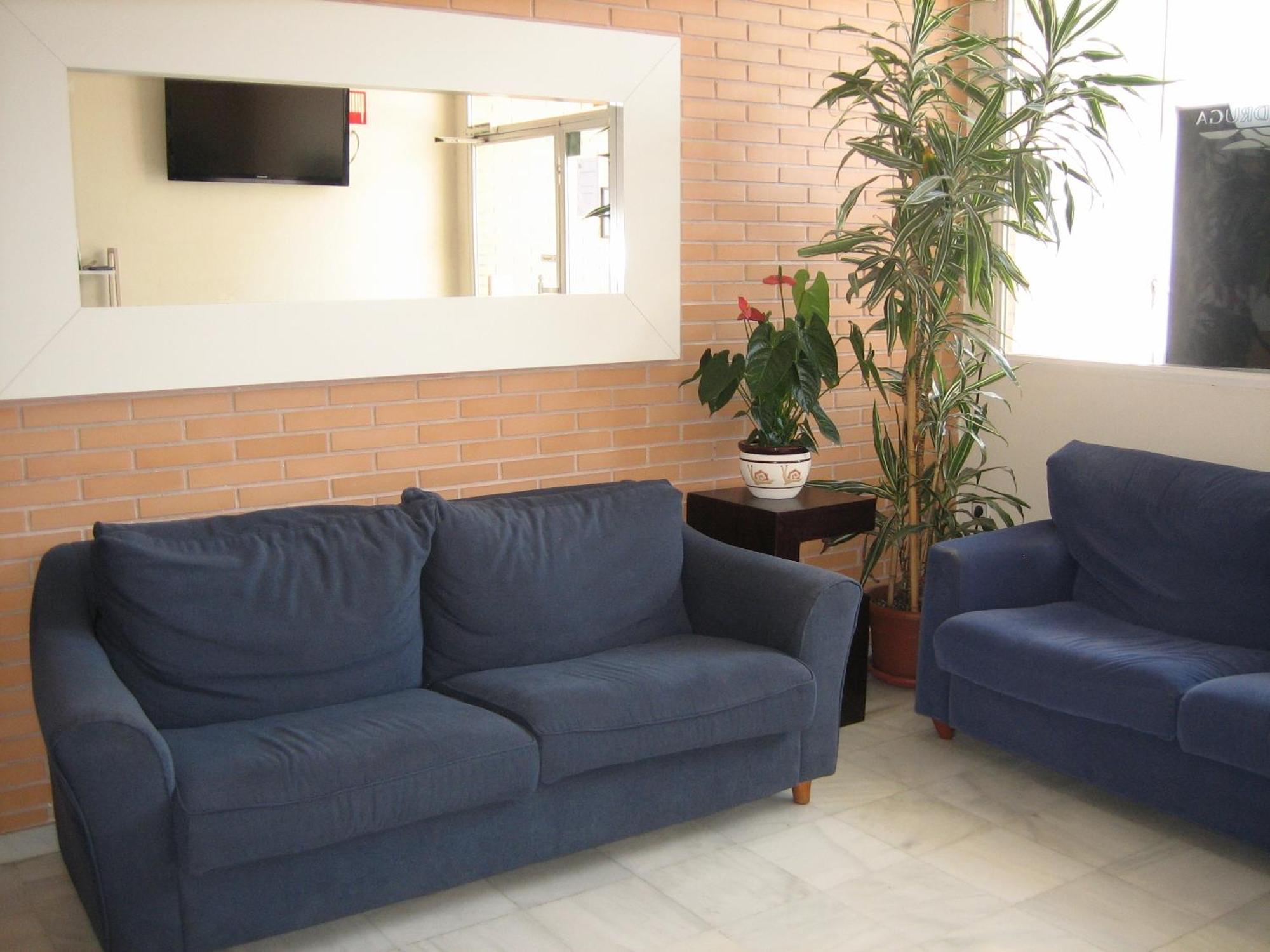 Hostal Madruga Elche Extérieur photo